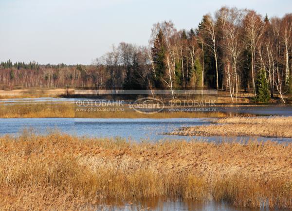 Река. Лес / Природа / леса и поля