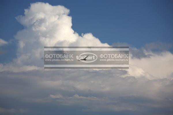 Небо. Облака / Природа / небо и облака