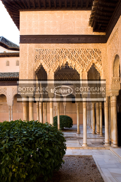 Европа. Испания. Гранада. Альгамбра,  Alhambra. Львиный дворик / Город, архитектура / архитектура и скульптура