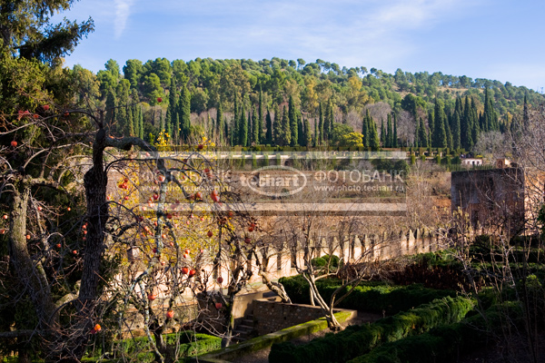 Европа. Испания. Гранада. Альгамбра, Alhambra, сад / Город, архитектура / сады и парки