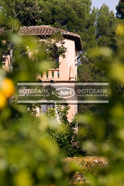 Европа. Испания. Гранада. Альгамбра,  Alhambra / Город, архитектура / архитектура и скульптура