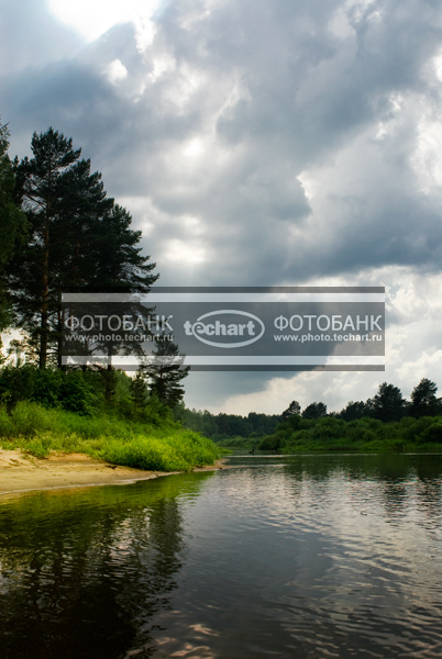 Природа России. Калужская  область. Река Жиздра / Природа / реки и озера
