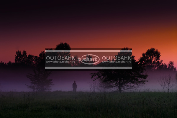 Природа России. Калужская  область. Река Жиздра. Туман / Природа / закаты и рассветы