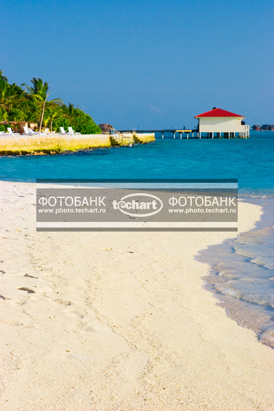 Мальдивы. Пляж / Природа / моря и океаны