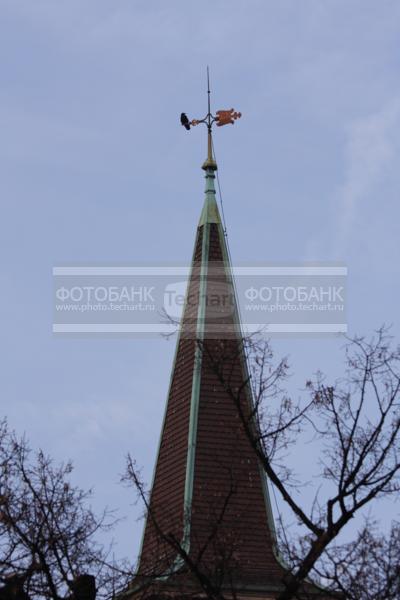 Европа. Швейцария. Шпиль в деревьях / Город, архитектура / городской пейзаж