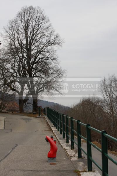 Европа. Швейцария. Забор. дерево / Город, архитектура / городской пейзаж