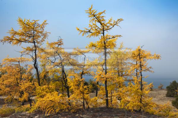 Природа России. Байкал. Осень. Остров Ольхон. Бухта Песчанка / Природа / осенний пейзаж