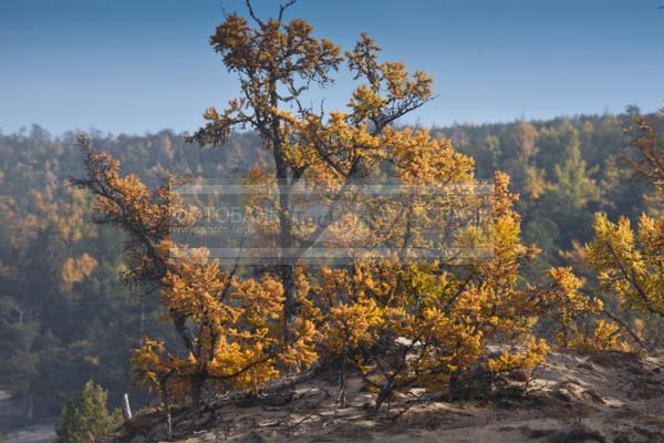 Природа России. Байкал. Осень. Остров Ольхон. Бухта Песчанка / Природа / осенний пейзаж