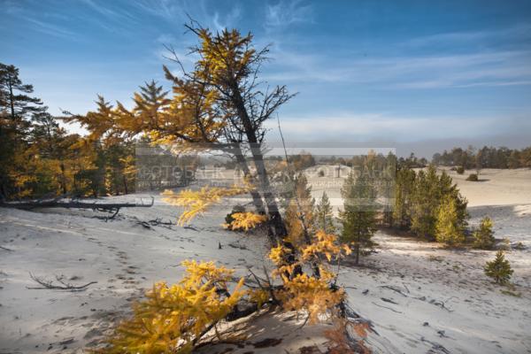 Природа России. Байкал. Осень. Остров Ольхон. Бухта Песчанка / Природа / осенний пейзаж