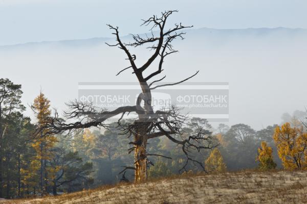 Природа России. Байкал. Осень. Остров Ольхон. Бухта Песчанка / Природа / осенний пейзаж