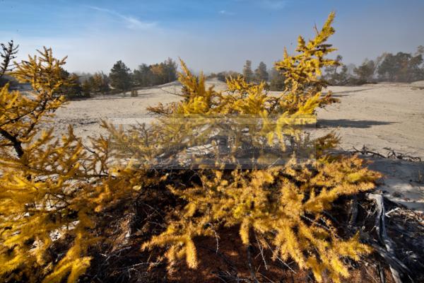 Природа России. Байкал. Осень. Остров Ольхон. Бухта Песчанка / Природа / осенний пейзаж