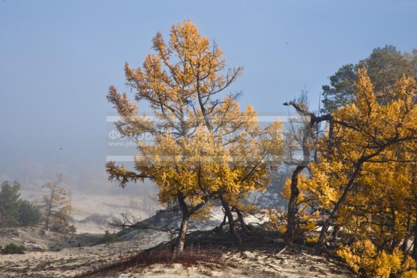 Природа России. Байкал. Осень. Остров Ольхон. Бухта Песчанка / Природа / осенний пейзаж