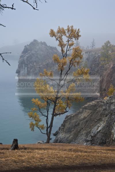 Природа России. Байкал. Осень. Остров Ольхон. Мыс Шаманка в тумане / Природа / осенний пейзаж