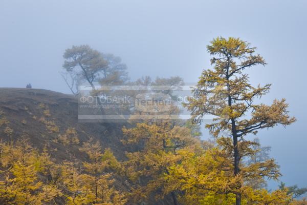 Природа России. Байкал. Осень. Остров Ольхон. Мыс Шаманка в тумане / Природа / осенний пейзаж