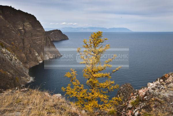 Природа России. Байкал. Остров Ольхон. Берег Узуры / Природа / осенний пейзаж