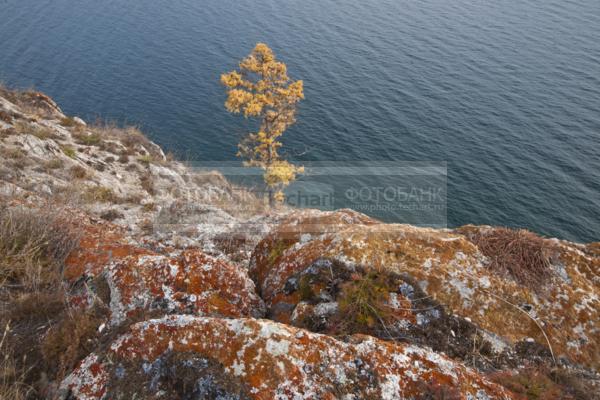 Природа России. Байкал. Остров Ольхон. Берег Узуры / Природа / осенний пейзаж