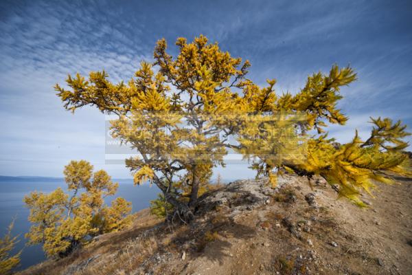 Природа России. Байкал. Остров Ольхон. Мыс Хобой / Природа / осенний пейзаж