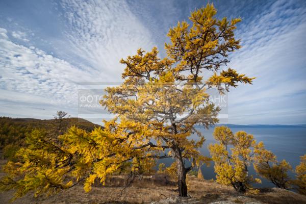 Природа России. Байкал. Остров Ольхон. Мыс Хобой / Природа / осенний пейзаж