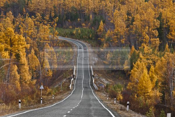 Природа России. Байкал. Осень. Трасса в Иркутской области  / Природа / осенний пейзаж