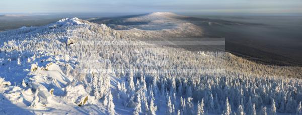 Россия. Челябинская область. Горы Таганай. Зима. Снег. Лес / Природа / зимний пейзаж