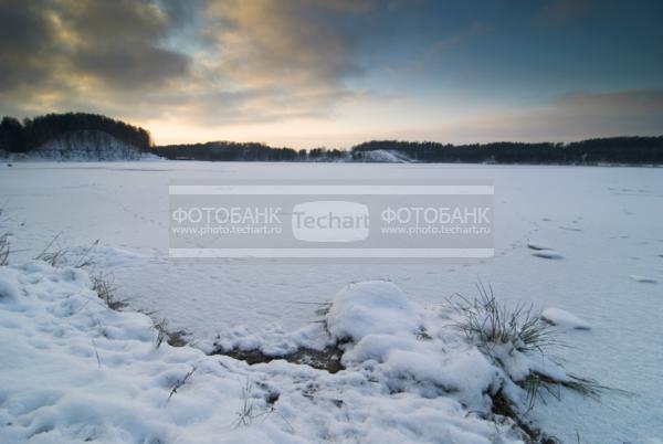 Россия. Московская область. Зима. Лес.  / Природа / зимний пейзаж