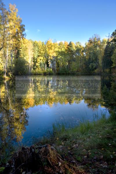 Озеро. Лес. Деревья / Природа / реки и озера