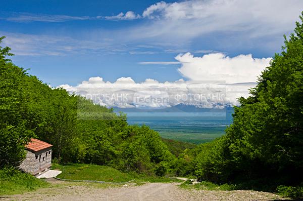 Грузия. Алазанская долина.  / Город, архитектура / городской пейзаж