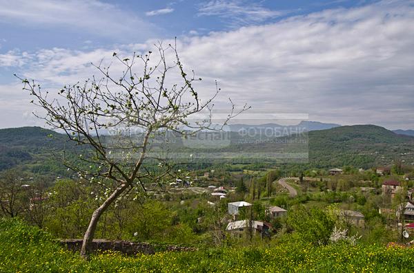 Грузия. Храмовый комплекс Гелати. / Природа / летний пейзаж