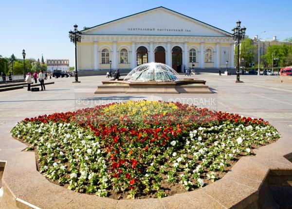 Москва. Манежная площадь. Цветы. Манеж.  / Город, архитектура / архитектура и скульптура