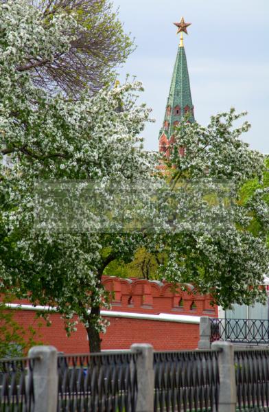 Москва. Кремль.  / Город, архитектура / городской пейзаж