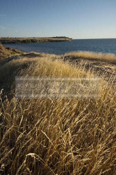 Россия. Волгоградская область. Степь недалеко от реки Волга.  / Природа / леса и поля