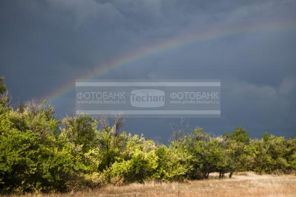 Россия. Волгоградская область. Степь недалеко от реки Волга.  / Природа / леса и поля