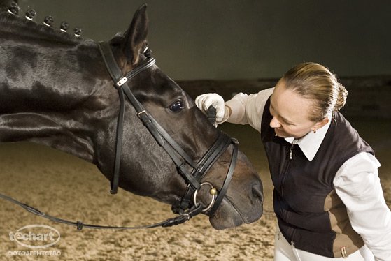 Фотосъемка лошади в манеже, коновод-берейтор