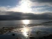 белое море