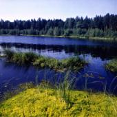 Река