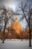 Россия. Москва. Александровский сад. Кремлевская стена. Russia. Moscow. Alexander Garden. Kremlin Wall