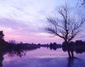 Природа России. Дельта Волги. Закат