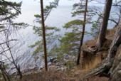 Россия. Валаам. Вид с острова Святой на озеро ладога. Сосны, берег