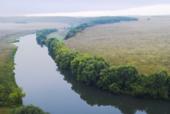 Россия. Тульская область. Утро на реке Красивая Меча. Река, деревья, туман
