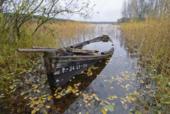 Россия. Псковская область. Верято. Лодка
