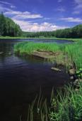 Россия. Сибирь. Красноярский край. Эвенкия. Эвенкийский автономный округ, река Катанга