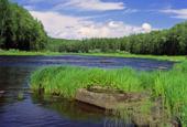 Россия, Сибирь, Красноярский край, Эвенкия. Река Катанга