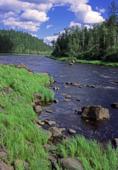 Россия. Сибирь. Красноярский край. Эвенкия. Река Катанга