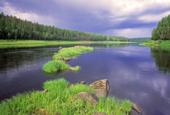 Россия. Сибирь. Красноярский край. Эвенкия. Река Подкаменная Тунгуска