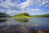 Россия. Сибирь. Красноярский край. Эвенкия. Лес, тайга, река