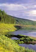 Россия. Сибирь. Красноярский край. Эвенкия. Река Подкаменная Тунгуска