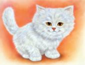 Графика. Акрил. Котенок