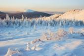 Россия. Челябинская область. Горы Таганай. Зима. Снег. Лес