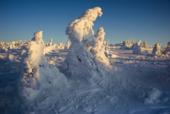 Россия. Челябинская область. Горы Таганай. Зима. Снег. Лес